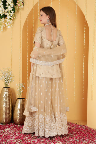 LIGHT FAWN CUTDANA , SEQUINS , BEADWORK DOUBLE NET SHARARA SET