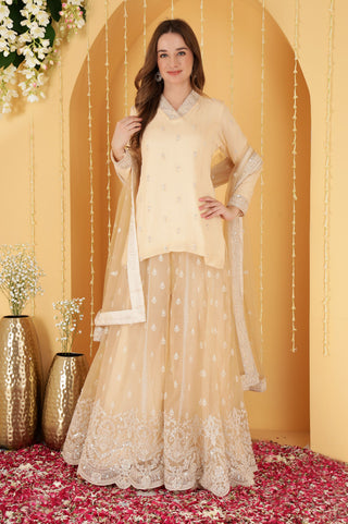 BEIGE CUTDANA , SEQUINS , BEADWORK DOUBLE NET SHARARA SET