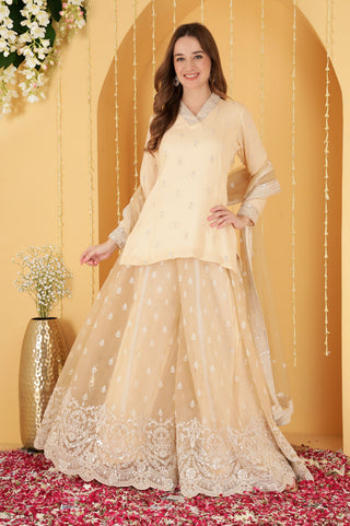 BEIGE CUTDANA , SEQUINS , BEADWORK DOUBLE NET SHARARA SET