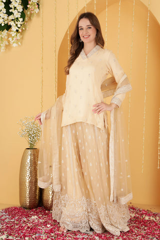 BEIGE CUTDANA , SEQUINS , BEADWORK DOUBLE NET SHARARA SET