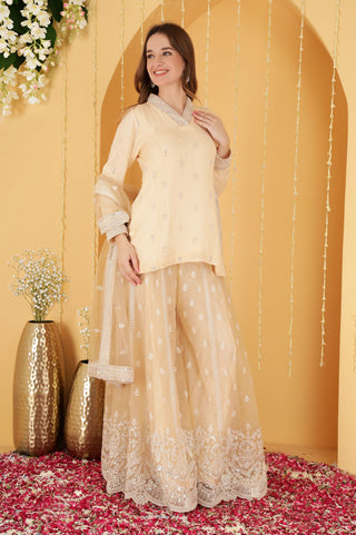 BEIGE CUTDANA , SEQUINS , BEADWORK DOUBLE NET SHARARA SET