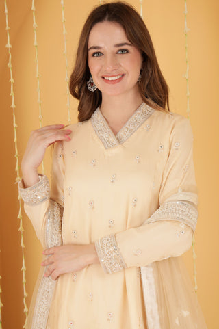 BEIGE CUTDANA , SEQUINS , BEADWORK DOUBLE NET SHARARA SET