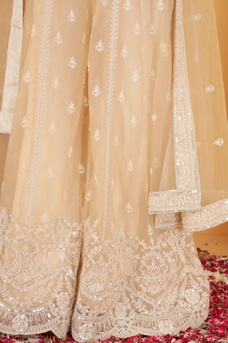 BEIGE CUTDANA , SEQUINS , BEADWORK DOUBLE NET SHARARA SET