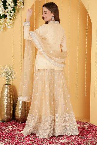 BEIGE CUTDANA , SEQUINS , BEADWORK DOUBLE NET SHARARA SET
