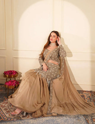 Mouse-Colored Thread & Bead Embellished Blouse with Fish Cut Skirt & Drape Pallu