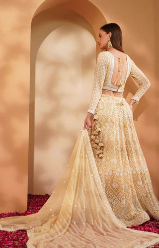Off-White Embroidered Beige Lehenga Set with Full Sleeve Blouse & Dupatta