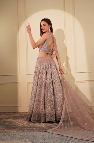 Onion Pink Double Net Lehenga Set