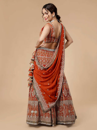 Rusty lehenga set with intricate zari work and cut dana blouse