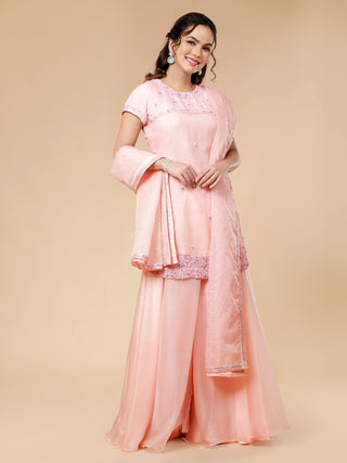 Elegant light pink organza sharara with intricate thread and zircon work
