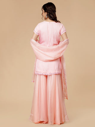 Graceful light pink garara set with thread embroidery and sequins