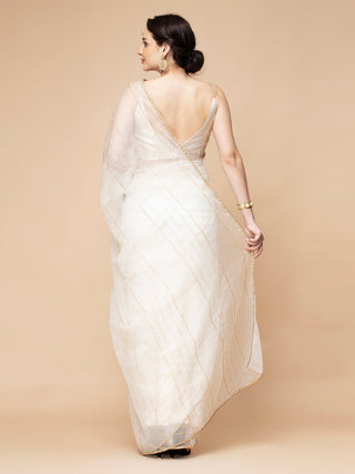 Ivory organza saree with bead embroidery, satin petticoat, sequined blouse.