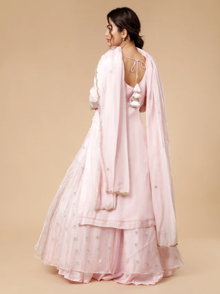 Light pink lehenga set with floral sequin skirt and bordered dupatta
