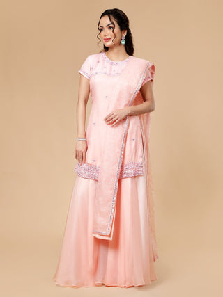 Milu Madan-designed organza sharara with thread and zircon detailing