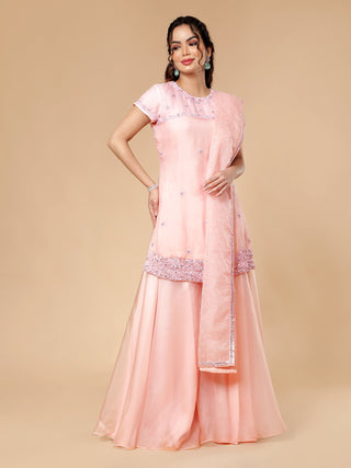 Stylish pink organza garara set with signature embroidery and sequins